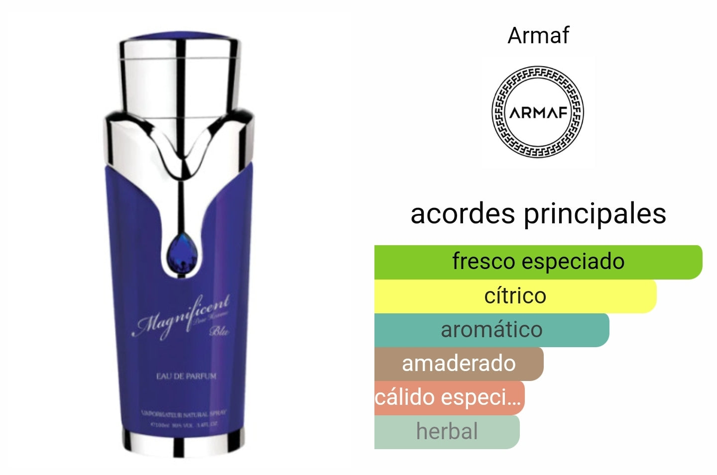 Magnificent Blue Armaf
