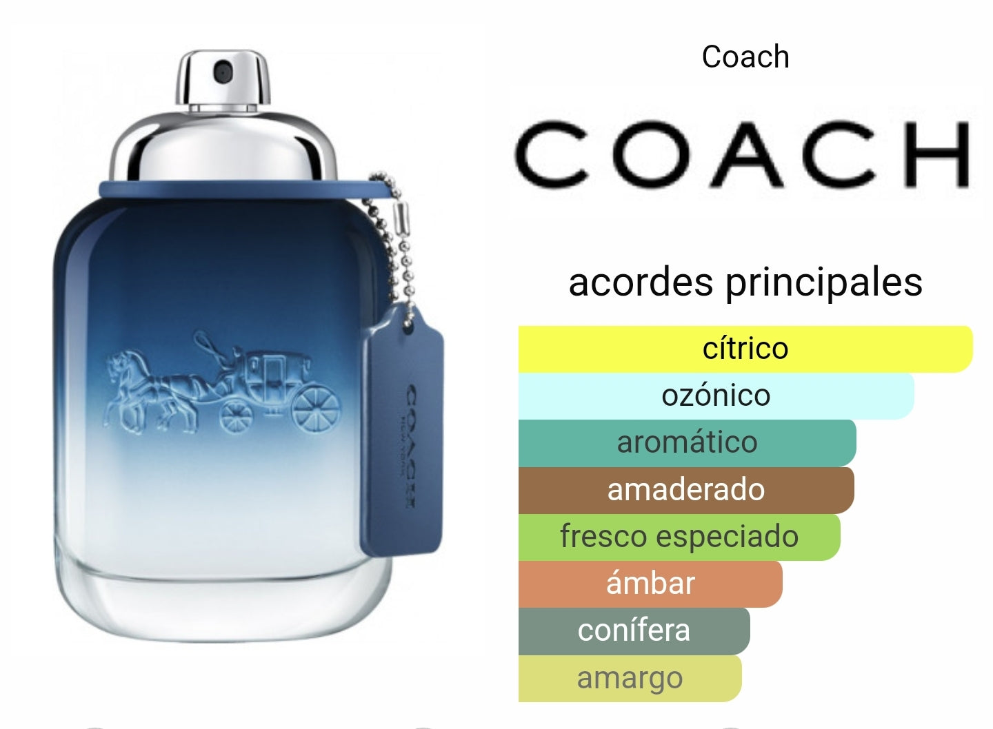 Coach Blue Hombre 100ml EDT