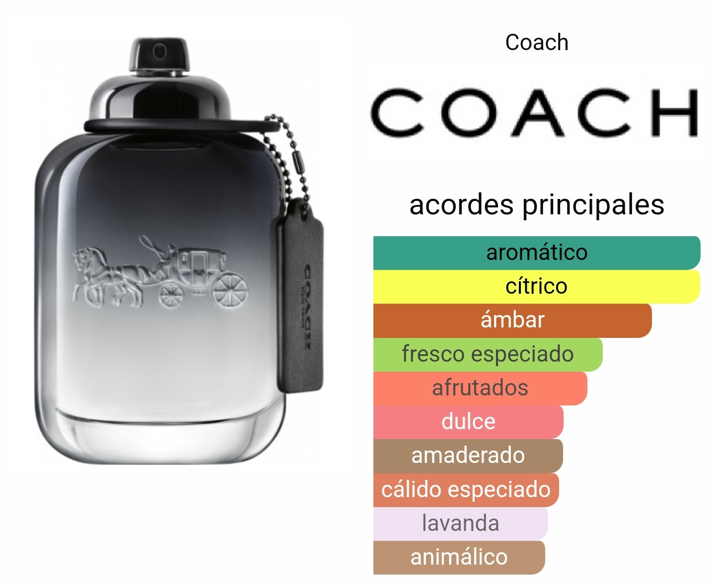 Coach para Hombre 100ml EDT