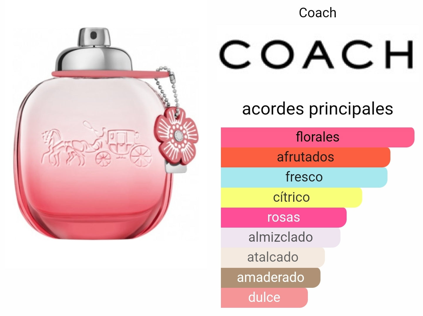Coach Floral Blush 90ml EDP