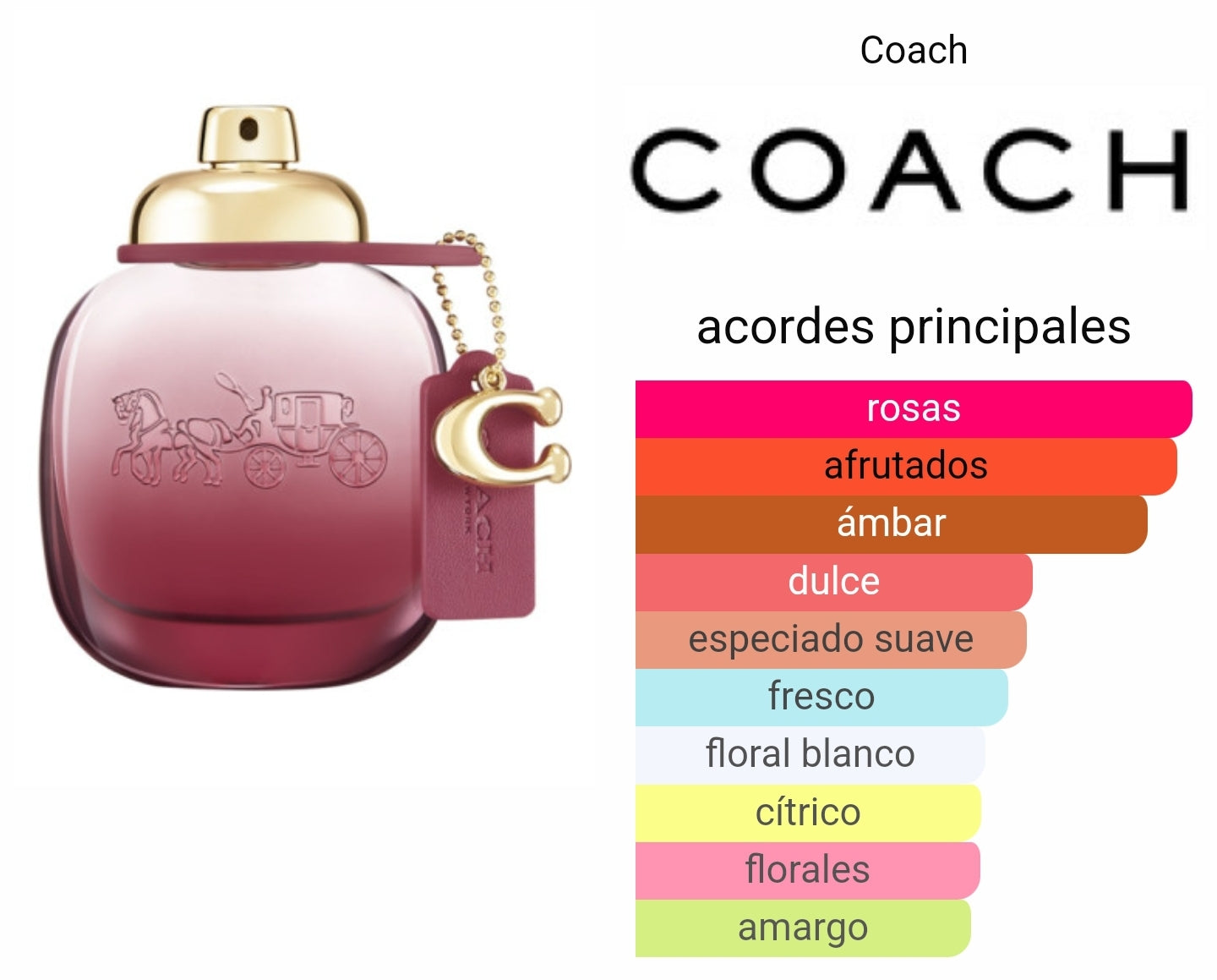 Coach Wild Rose Mujer 90ml EDP