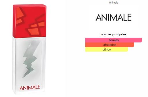 Animale Intense Mujer