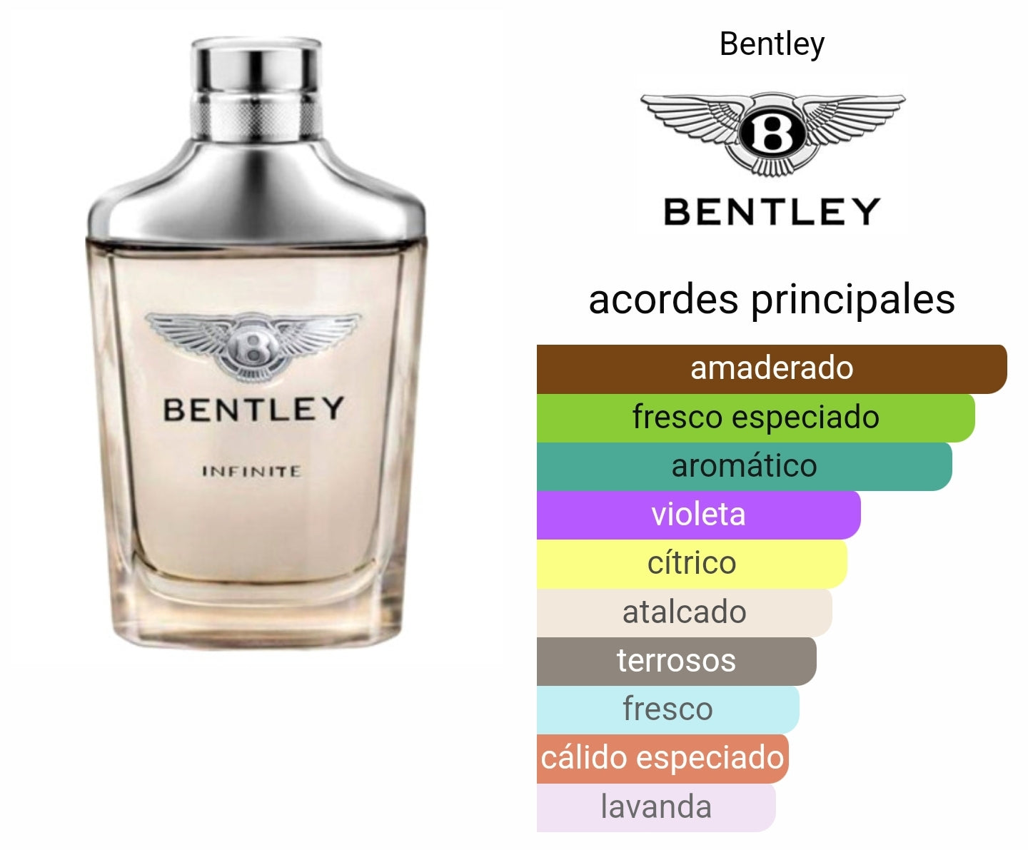 bentley infinity