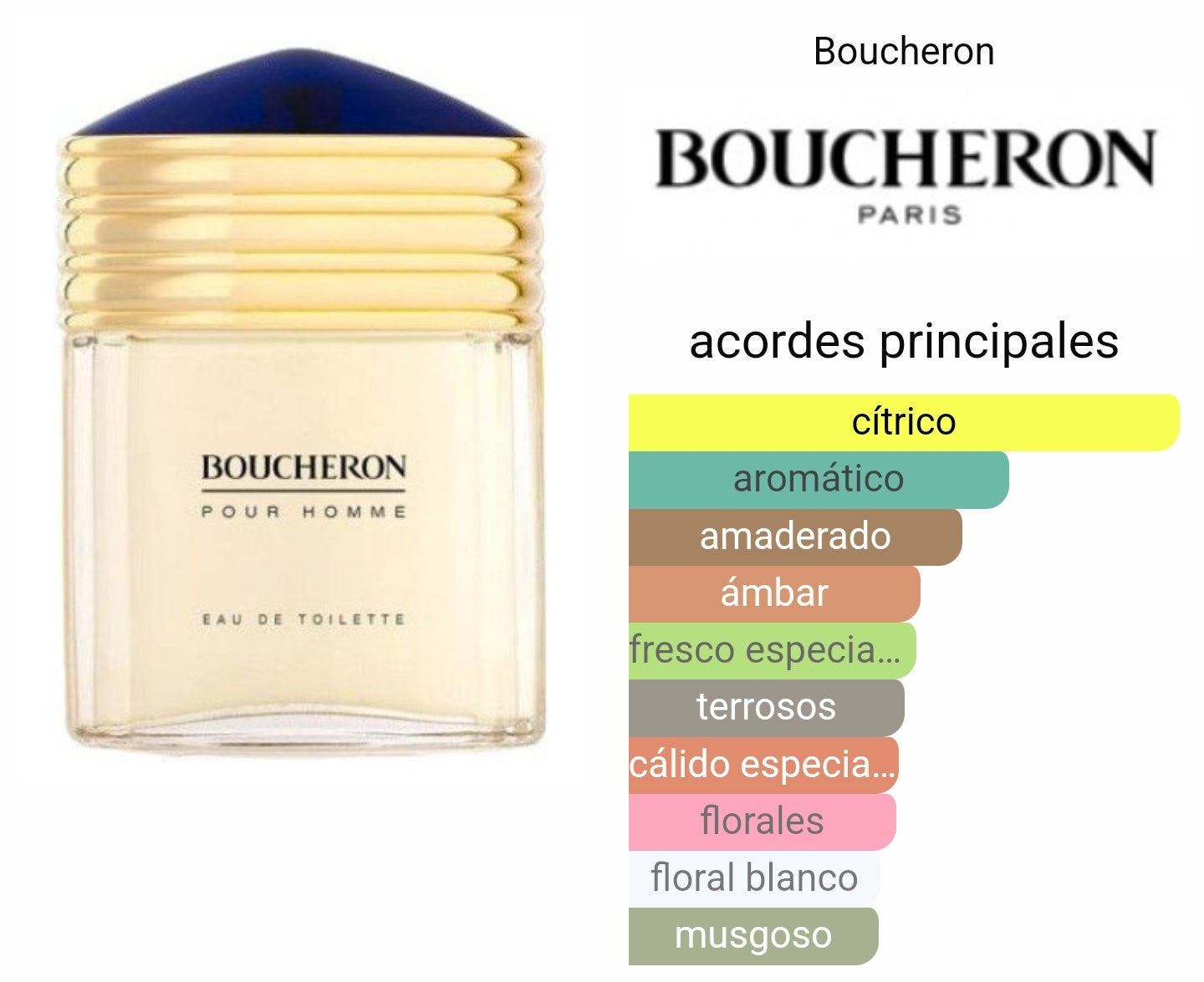 Boucheron Pour Homme 100ml EDT