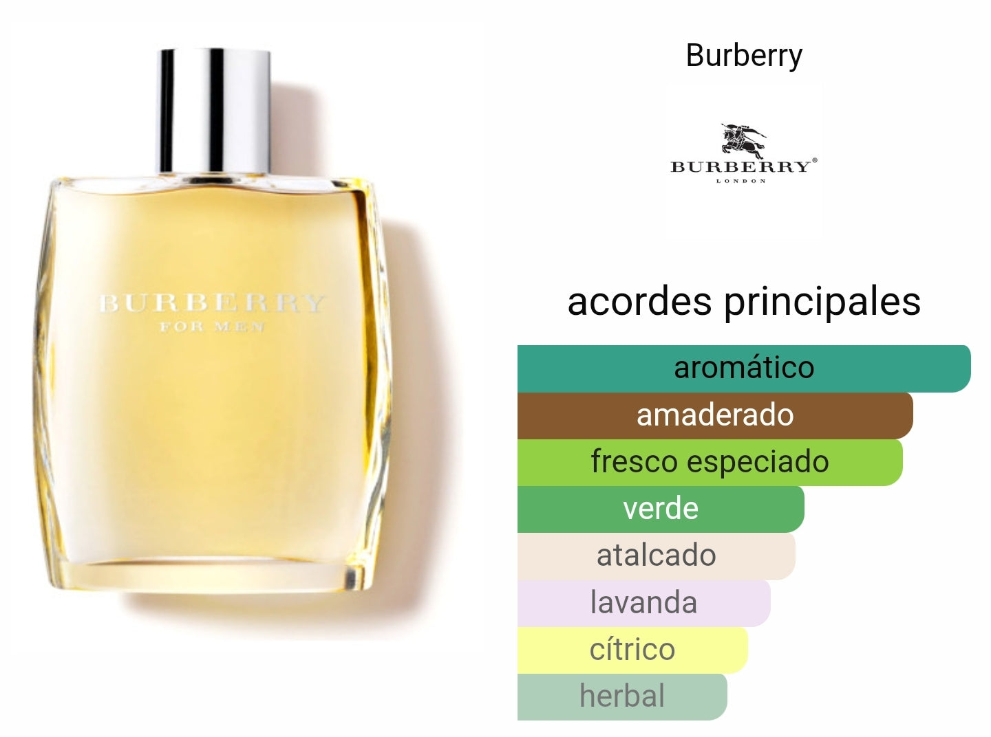 Burberry for Men