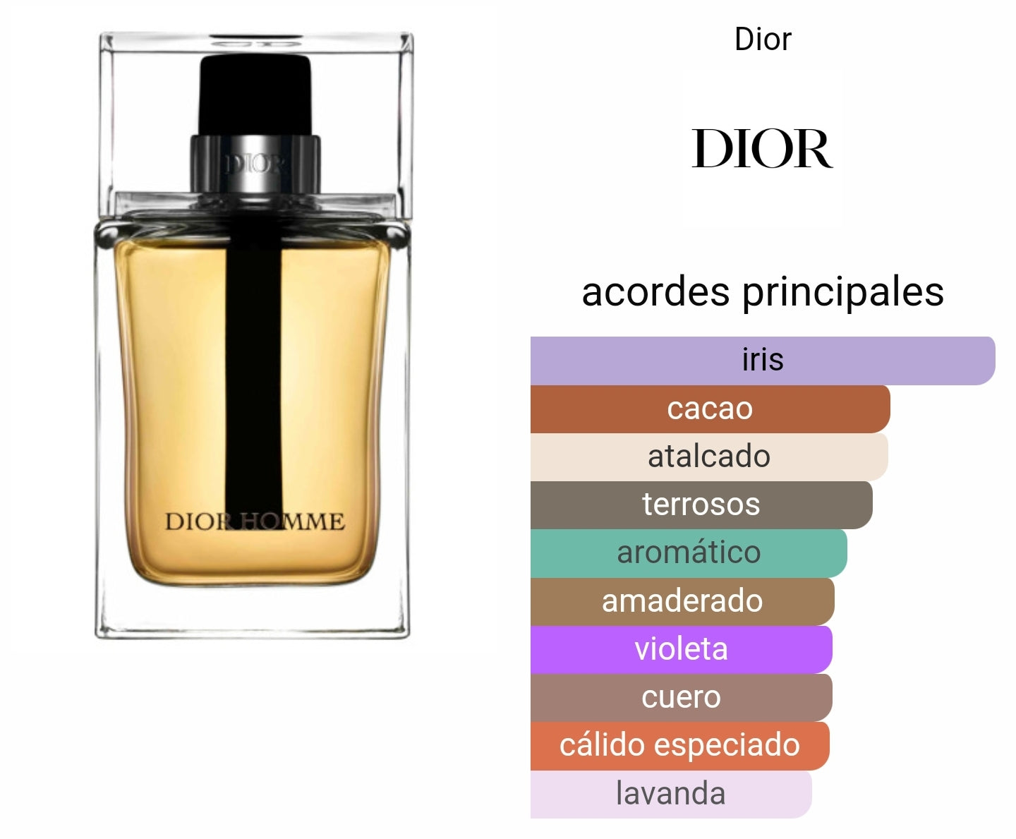 Dior Homme EDT 100ml