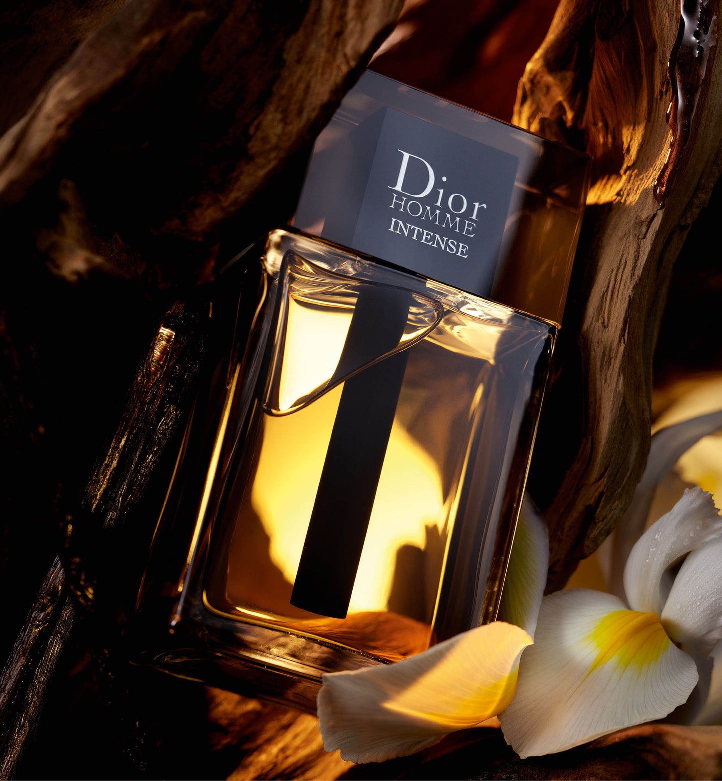 Dior homme Intense 100ml